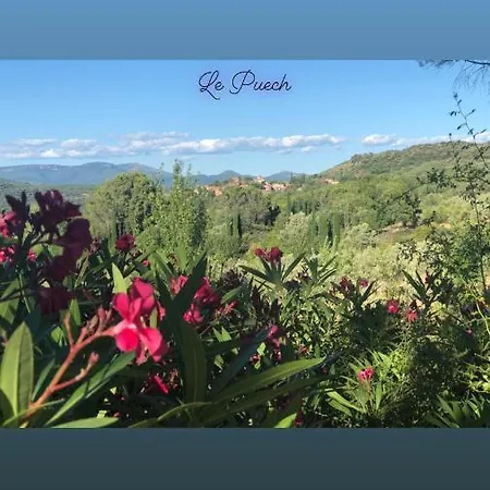 Domaine De Mont Redon 山林小屋 Le Puech